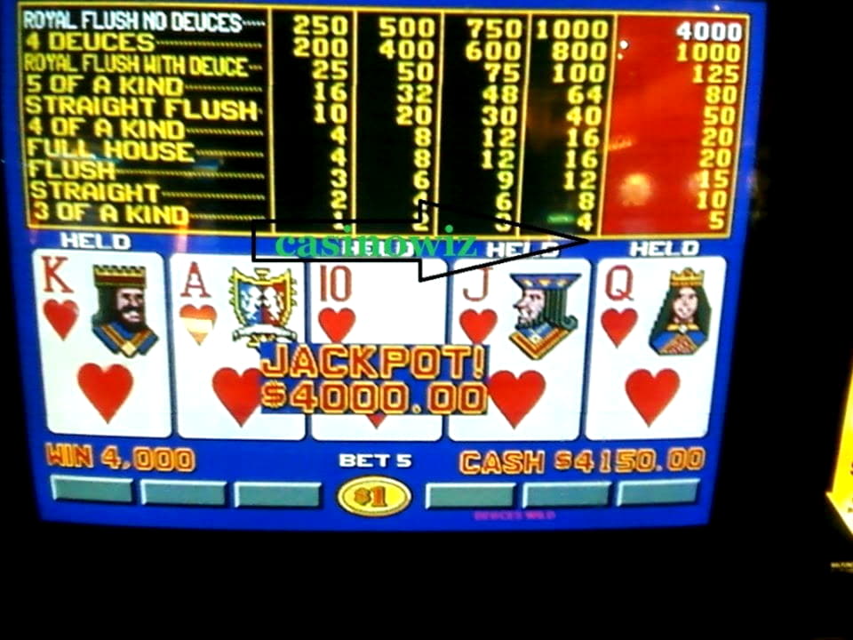 EUR 333 NO DEPOSIT at Party Casino