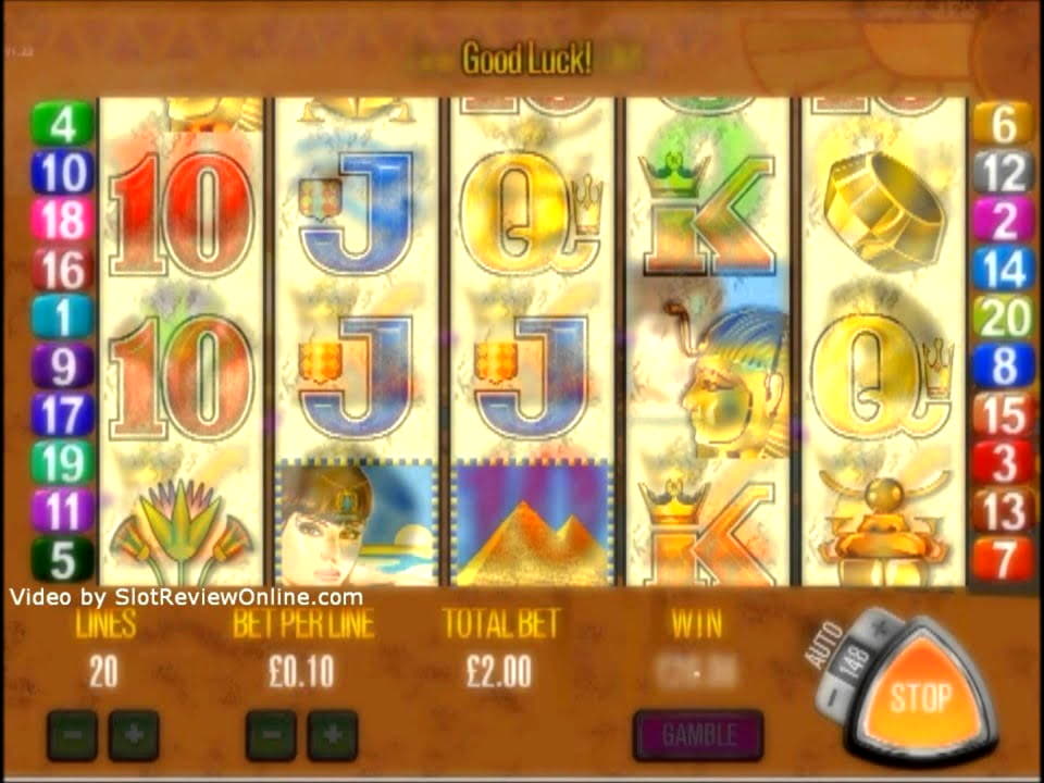 
</p>
<div class='heateorSssClear'></div><div  class='heateor_sss_sharing_container heateor_sss_horizontal_sharing' data-heateor-sss-href='https://newzealandcasinobonuses.com/coupon/555-casino-tournament-at-rizk-casino-45187/'><div class='heateor_sss_sharing_title' style=