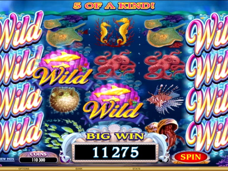 $3460 NO DEPOSIT BONUS CODE at Winorama Casino