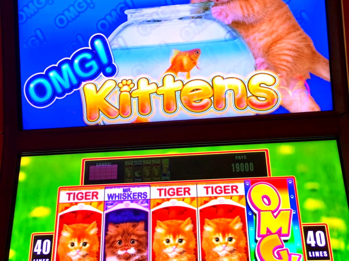 235 Free Spins right now at Cashmio Casino