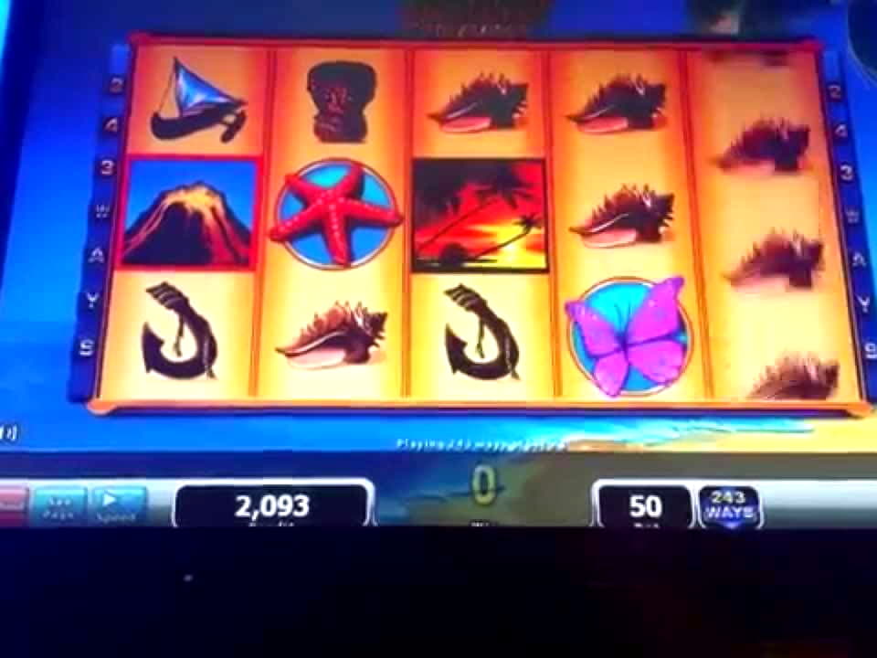 EURO 3415 no deposit casino bonus at CasiPlay Casino