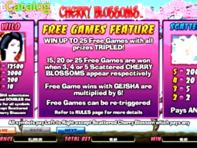 800% Match at a casino at Reeltastic Casino
