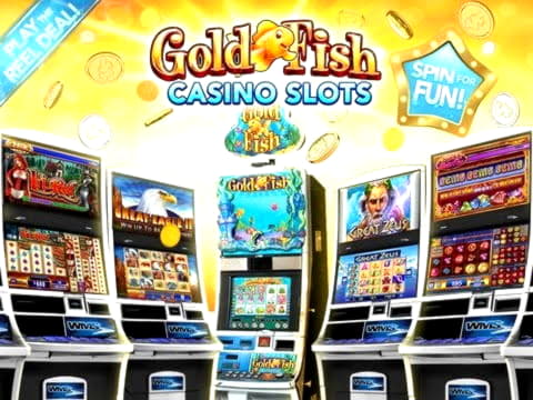 175 Loyalty Free Spins! at Fruity Casa Casino