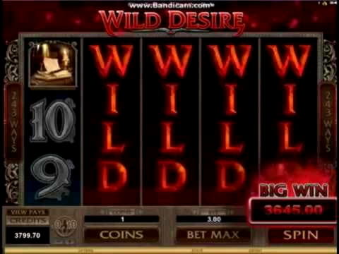 285% Welcome Bonus at Rizk Casino