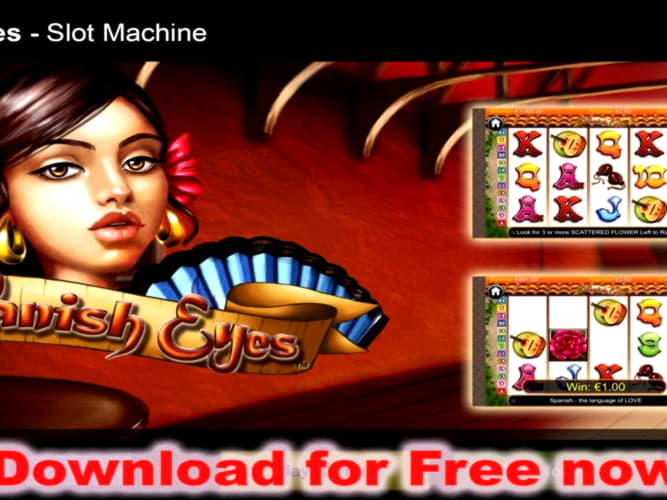 555% Match bonus casino at Rizk Casino