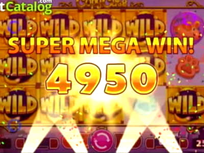 EUR 55 Daily freeroll slot tournament at Fruity Casa Casino