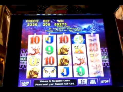 11 Loyal Free Spins! at bWin Casino