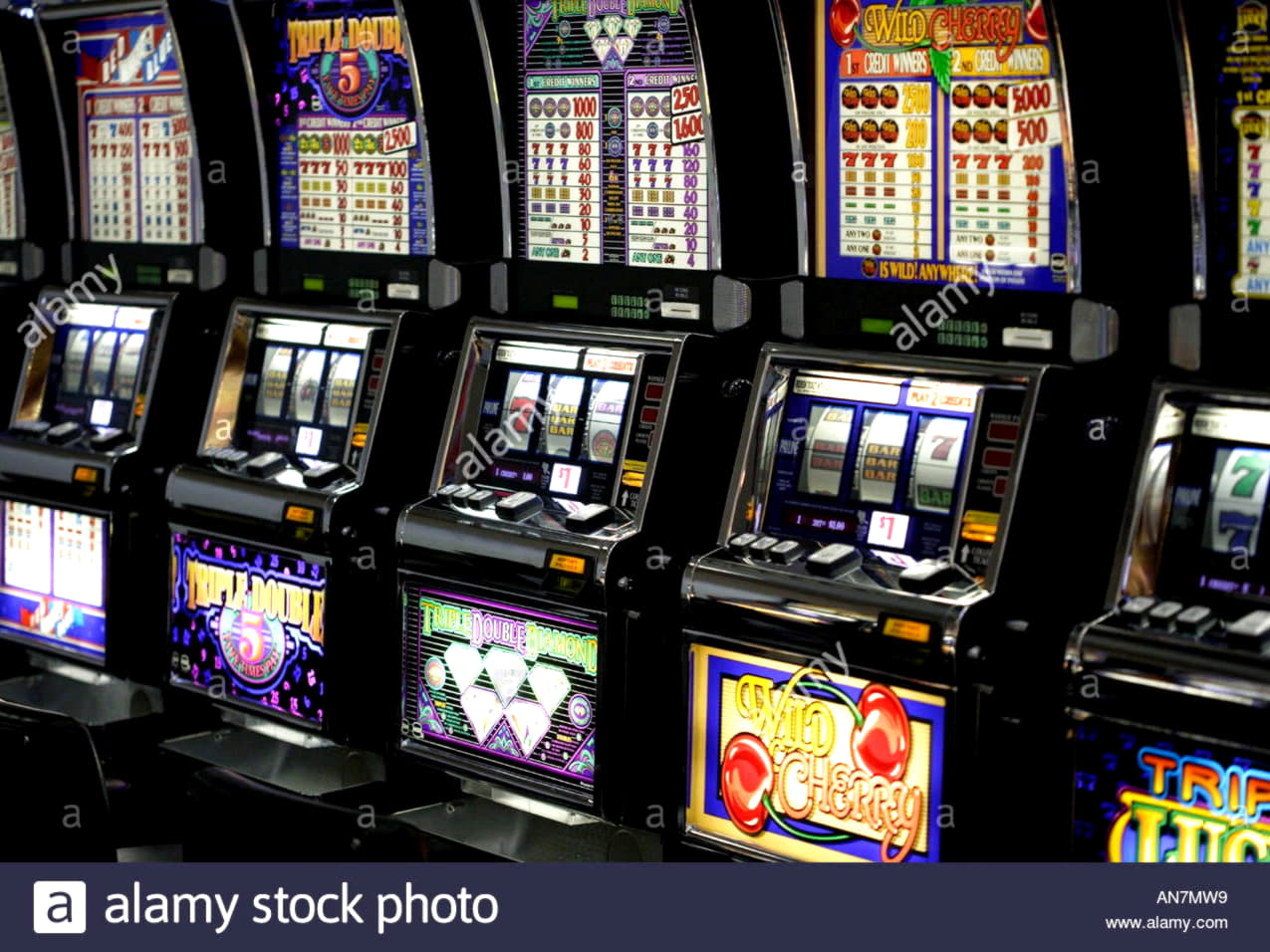 
</p>
<div class='heateorSssClear'></div><div  class='heateor_sss_sharing_container heateor_sss_horizontal_sharing' data-heateor-sss-href='https://newzealandcasinobonuses.com/coupon/135-free-chip-at-karamba-casino-46521/'><div class='heateor_sss_sharing_title' style=