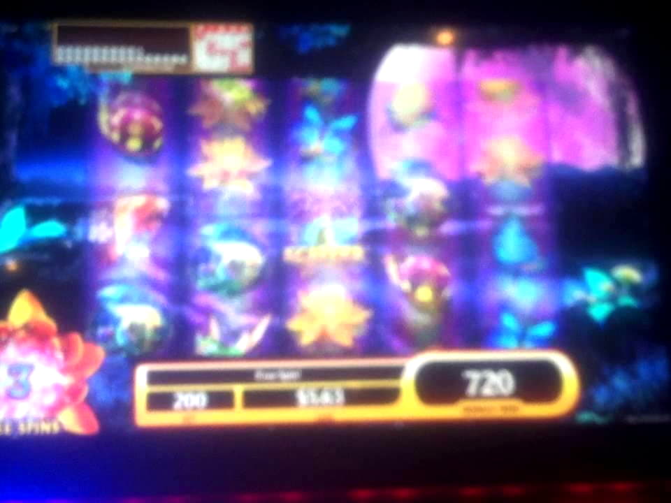 245 Free spins casino at Winorama Casino