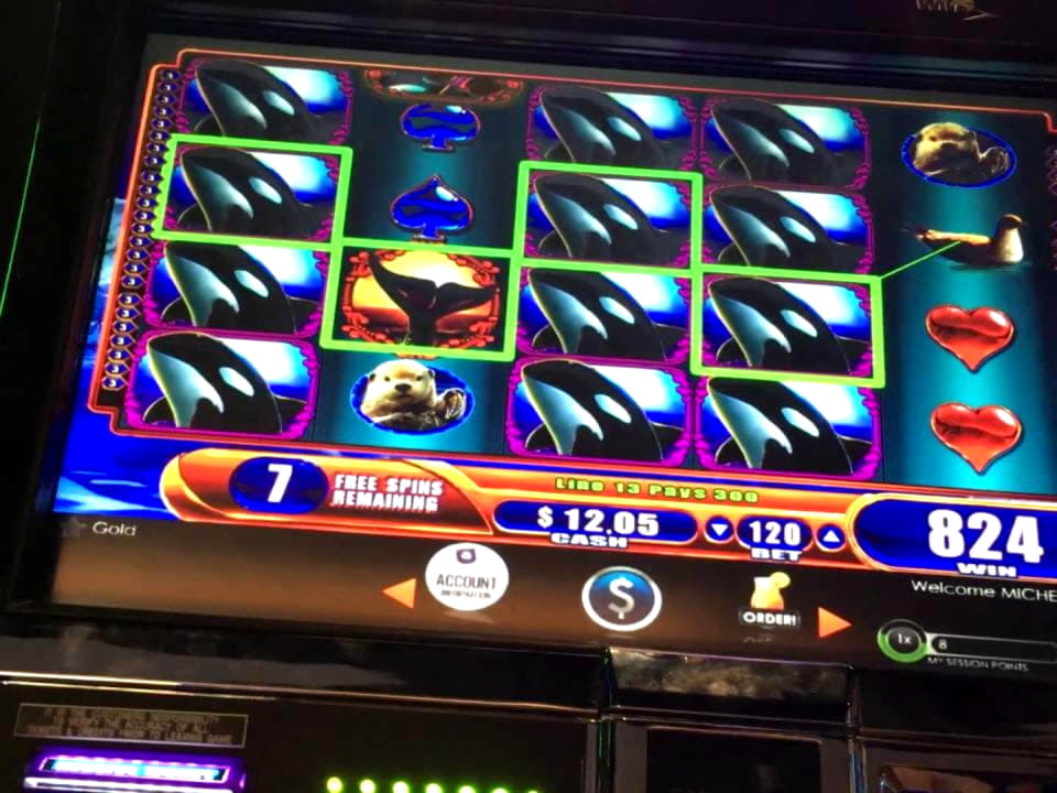 955% Match at a Casino at Fruity Casa Casino