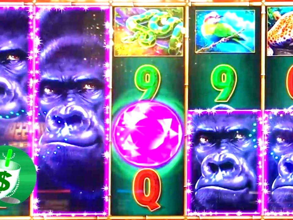 EUR 625 Tournament at Winorama Casino