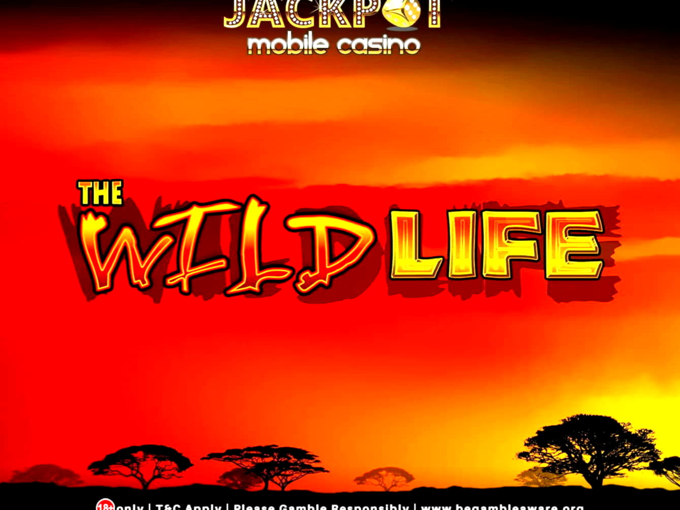 Eur 555 FREE Chip at Wunderino Casino