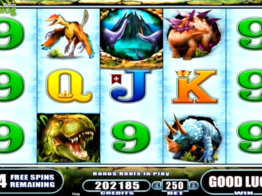 EUR 320 Daily freeroll slot tournament at bWin Casino