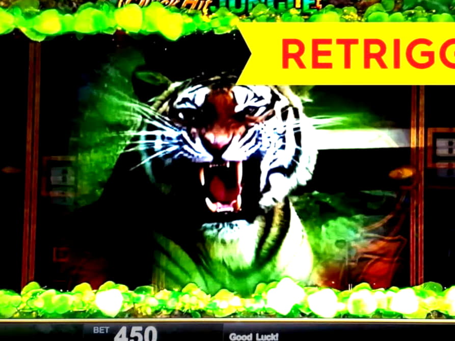 $530 Online Casino Tournament at Rizk Casino