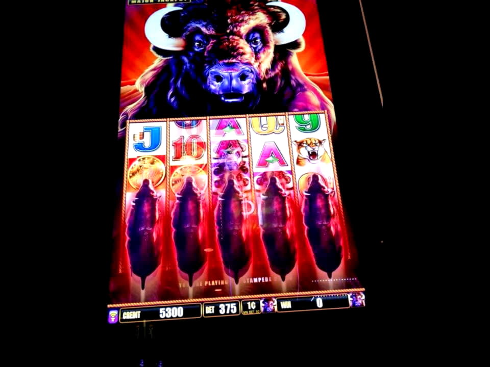 300% Match Bonus at Omni Casino