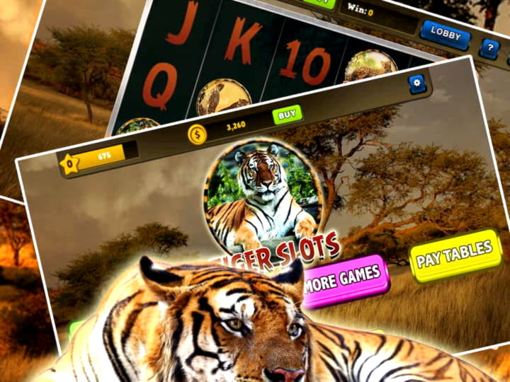 80% Best Signup Bonus Casino at Casimba Casino