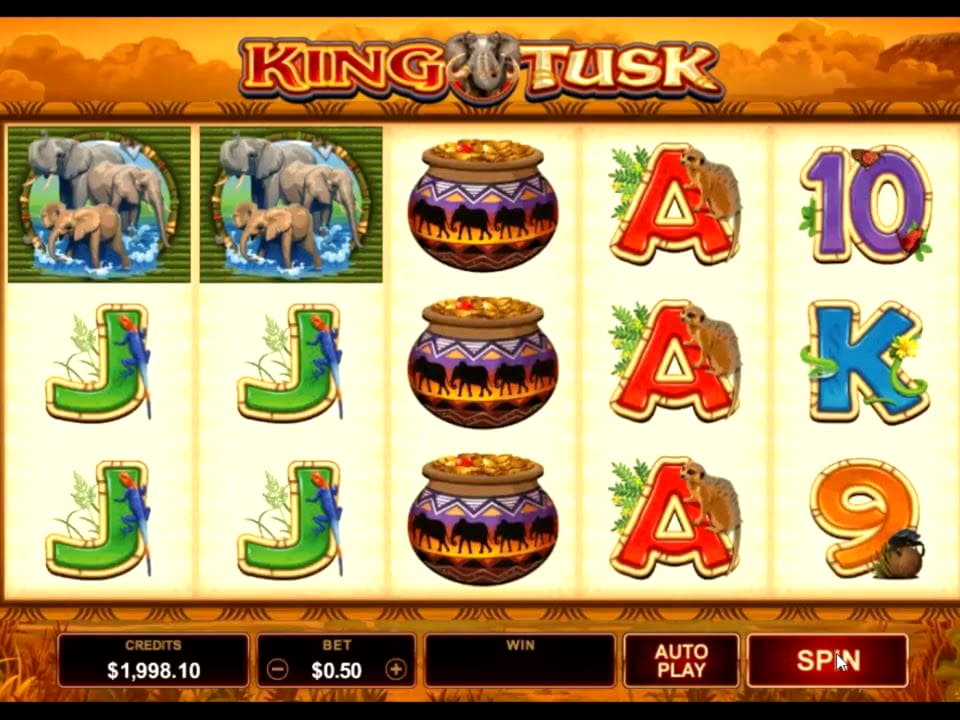 875% Match bonus at YoYo Casino