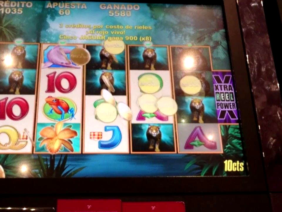 770% Match Bonus Casino at Jelly Bean Casino