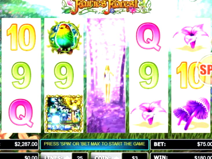 EUR 115 Casino tournaments freeroll at CasiPlay Casino