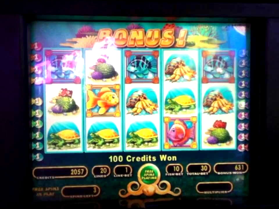 222 Loyalty Free Spins! at Wunderino Casino