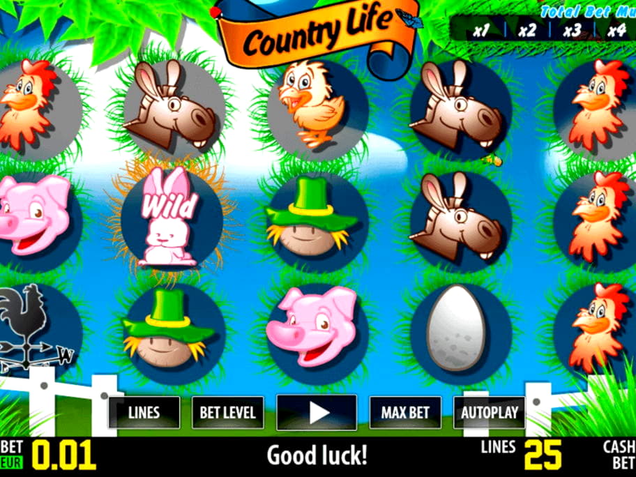 55 Free Spins no deposit at Mrgreen Casino