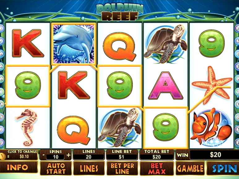 255 free spins no deposit at Dunder Casino