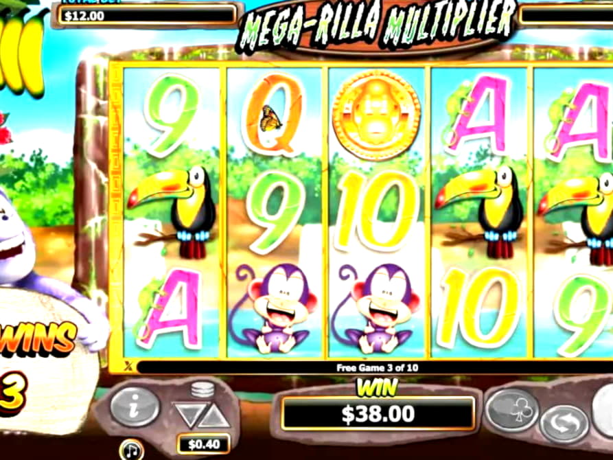 
</p>
<div class='heateorSssClear'></div><div  class='heateor_sss_sharing_container heateor_sss_horizontal_sharing' data-heateor-sss-href='https://newzealandcasinobonuses.com/coupon/430-casino-tournament-at-dream-vegas-cas-48634/'><div class='heateor_sss_sharing_title' style=