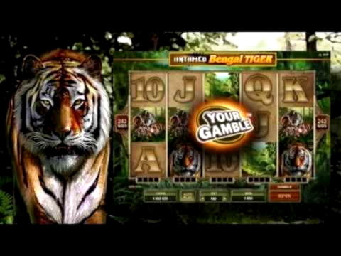 95 Free Casino Spins at Rizk Casino