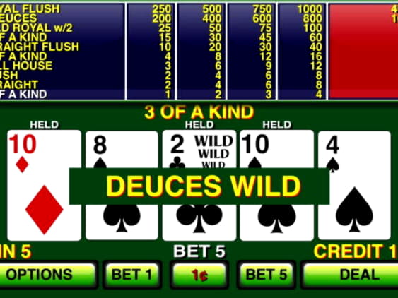 245 FREE Spins at Party Casino
