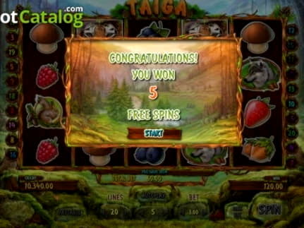 $360 Free Casino Chip at Wunderino Casino