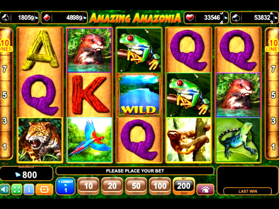 80 free spins at bWin Casino