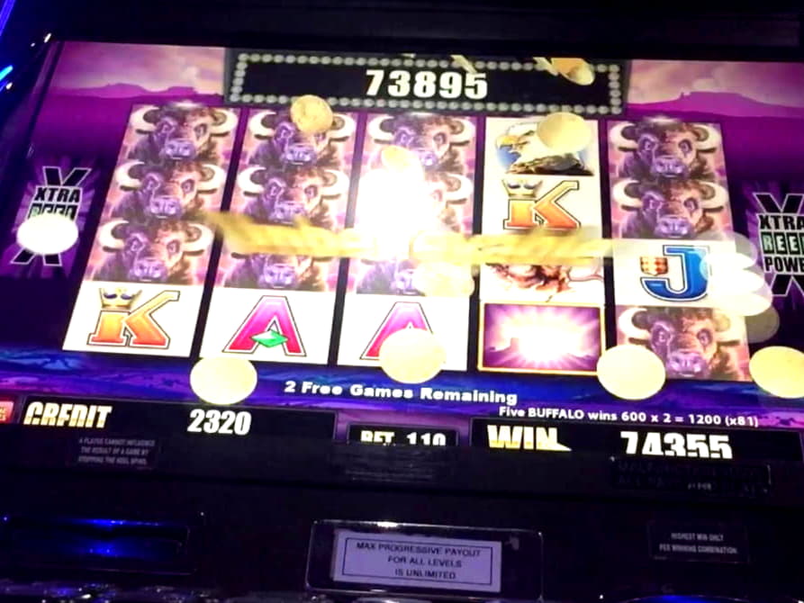 $330 No Deposit Bonus Code at Mrgreen Casino