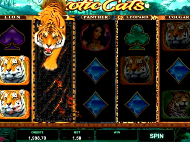 Eur 760 Free Casino Tournament at Wunderino Casino