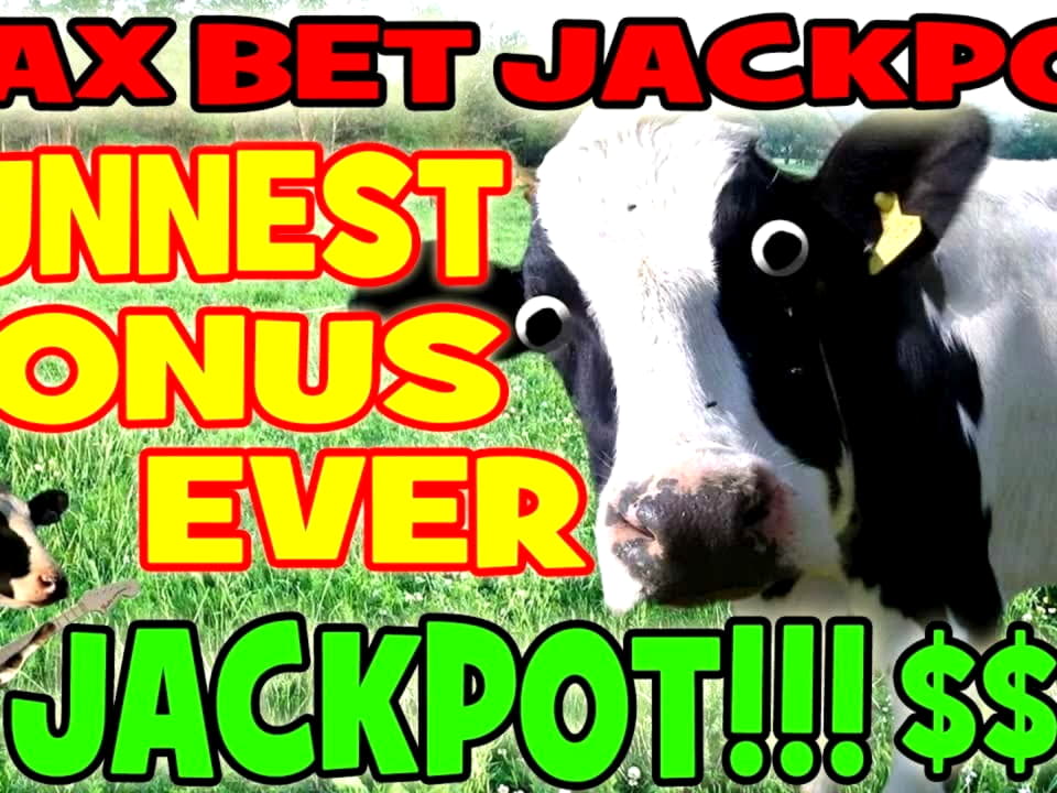 225 free spins at Fruity Casa Casino