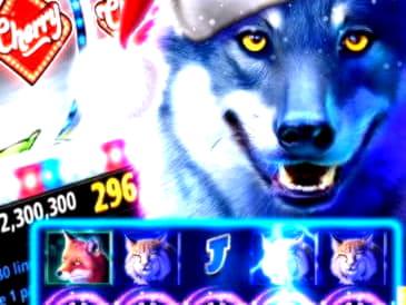 15 FREE SPINS at Winorama Casino