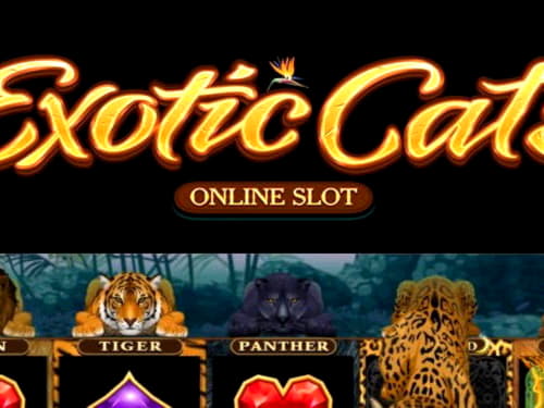 EURO 4225 No deposit bonus at Trada Casino