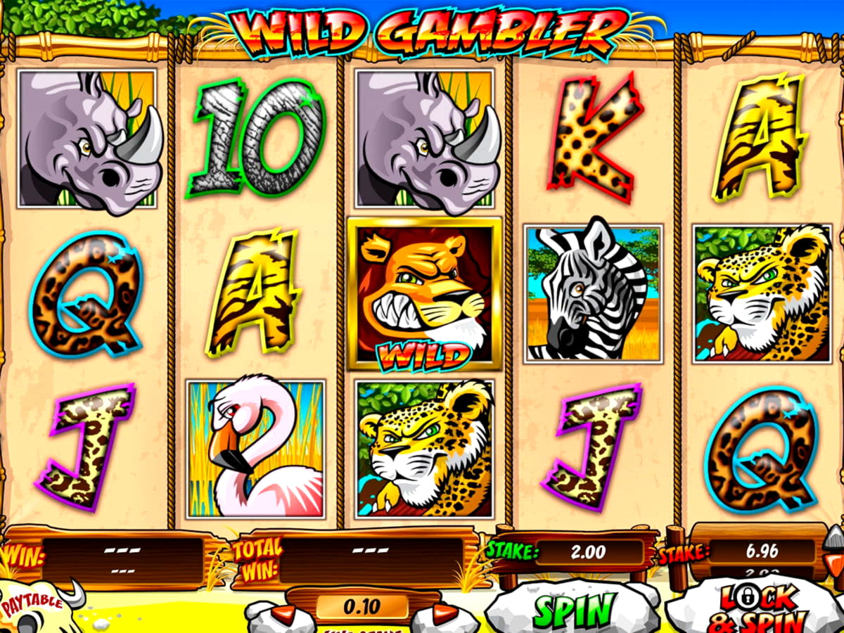 265 Free Spins right now at Winorama Casino