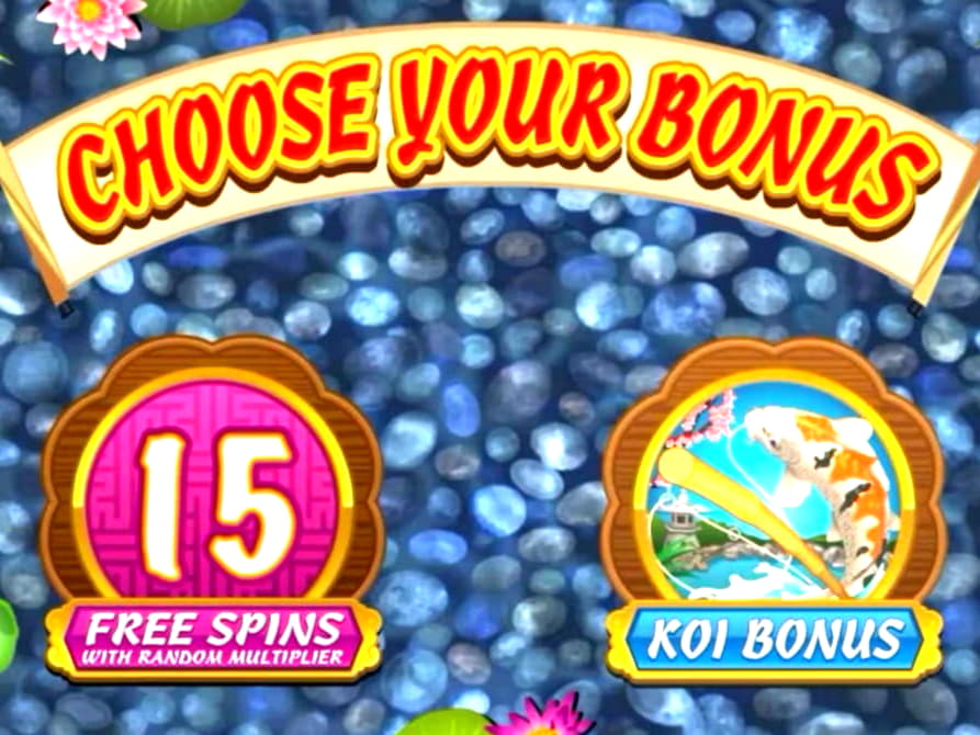 ?275 no deposit bonus code at Mrgreen Casino