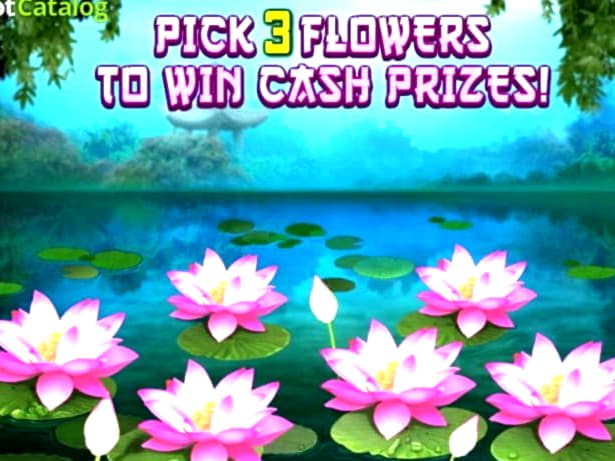 ?4680 No deposit at King Billy Casino