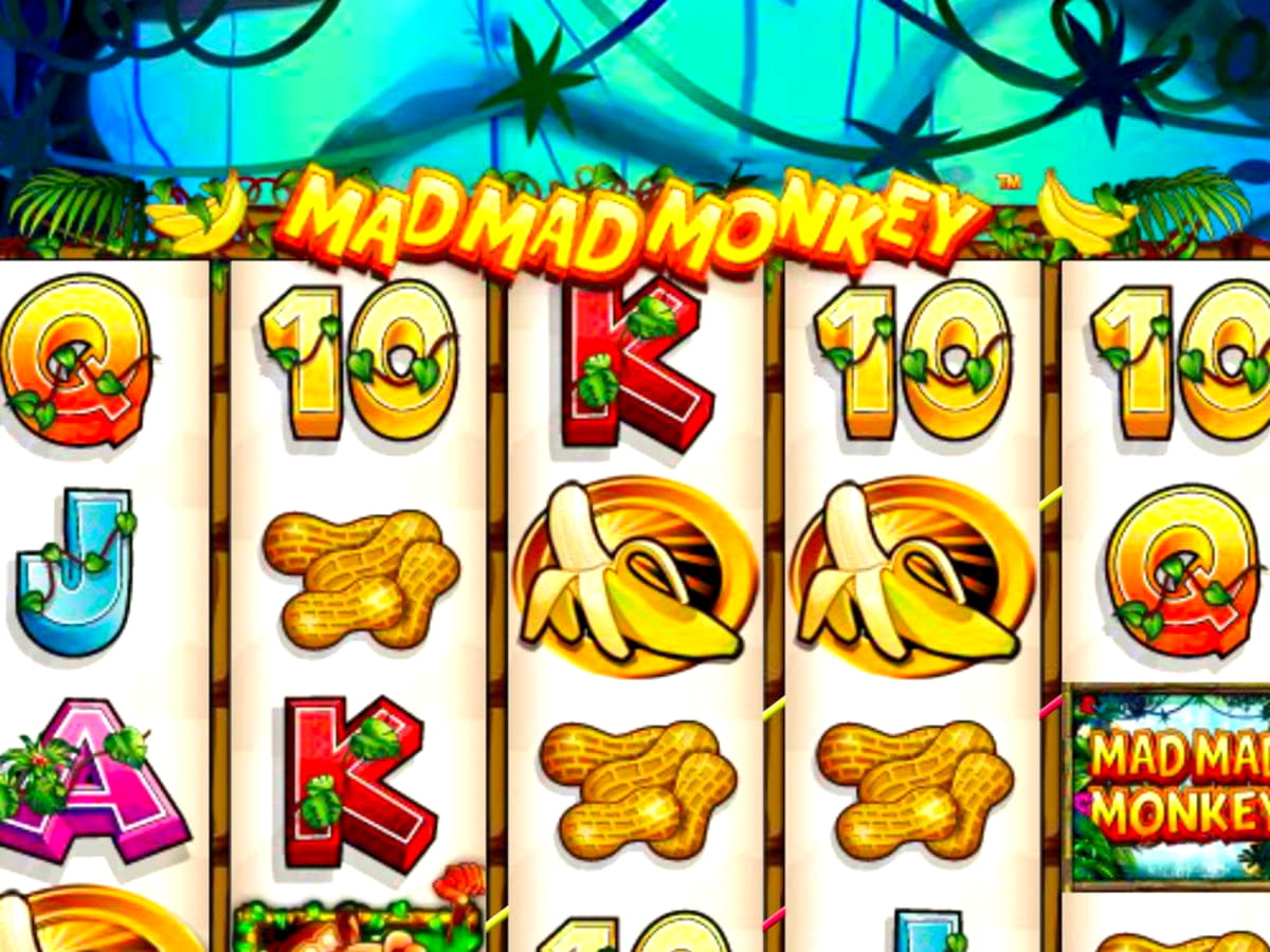 230 free spins casino at Casimba Casino