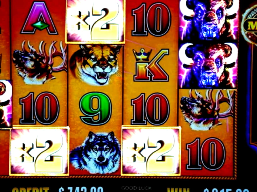 EUR 115 Free Casino Tournament at Malina Casino