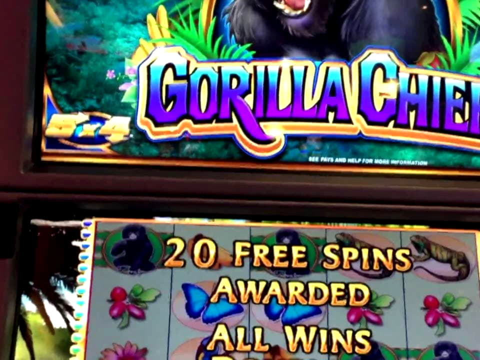 EUR 535 FREE CHIP at Trada Casino