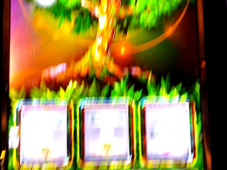 Eur 440 Mobile freeroll slot tournament at Casino com