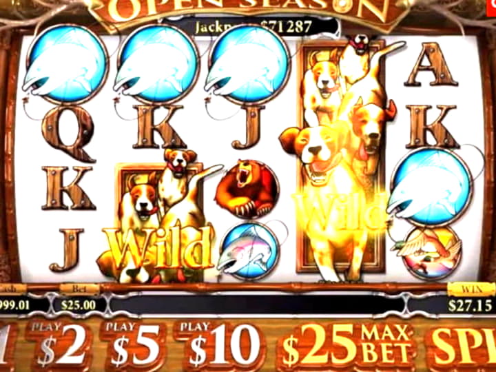 
</p>
<div class='heateorSssClear'></div><div  class='heateor_sss_sharing_container heateor_sss_horizontal_sharing' data-heateor-sss-href='https://newzealandcasinobonuses.com/coupon/33-online-casino-tournament-at-yoyo-casi-50633/'><div class='heateor_sss_sharing_title' style=