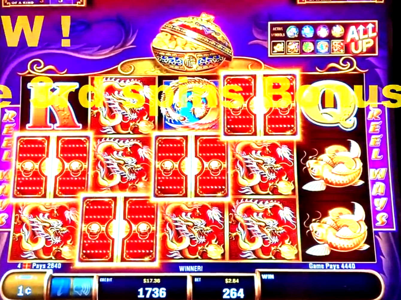 11 Free spins no deposit casino at Rizk Casino