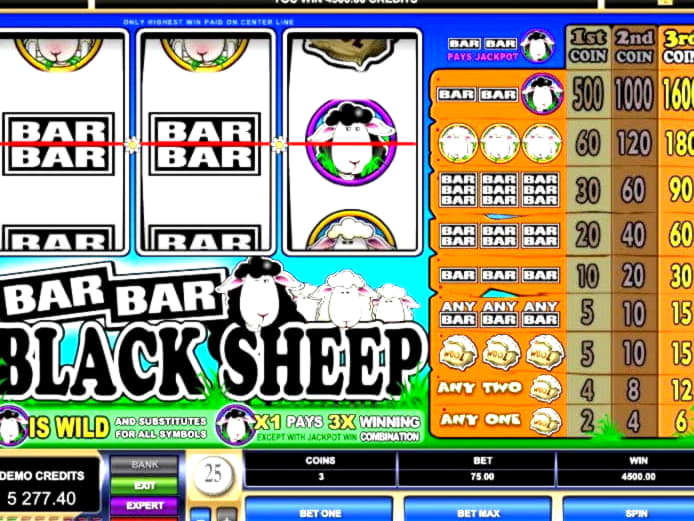 35 free spins casino at Rizk Casino
