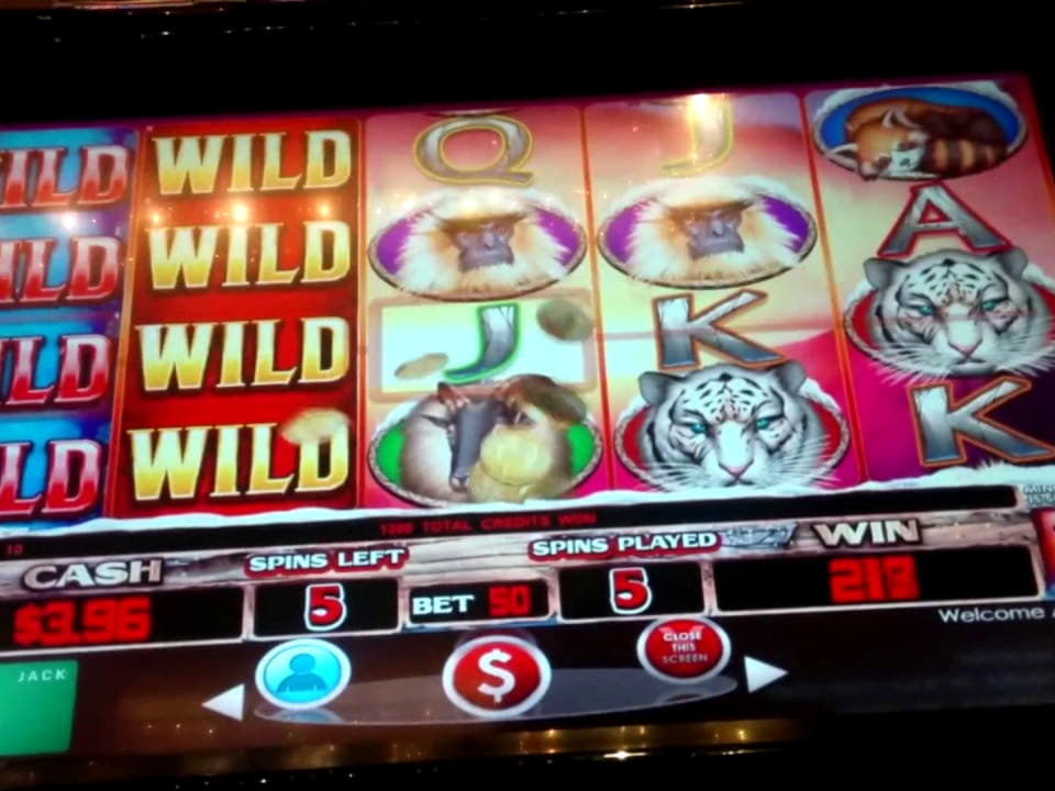 ?$4605 no deposit at Fruity Casa Casino