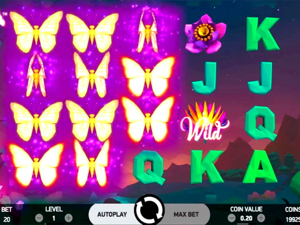 215 Loyal Free Spins! at Mrgreen Casino