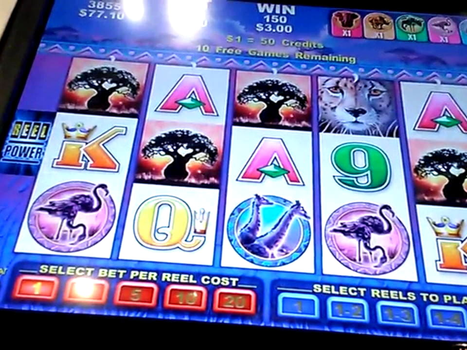 95 FREE SPINS at Mrgreen Casino
