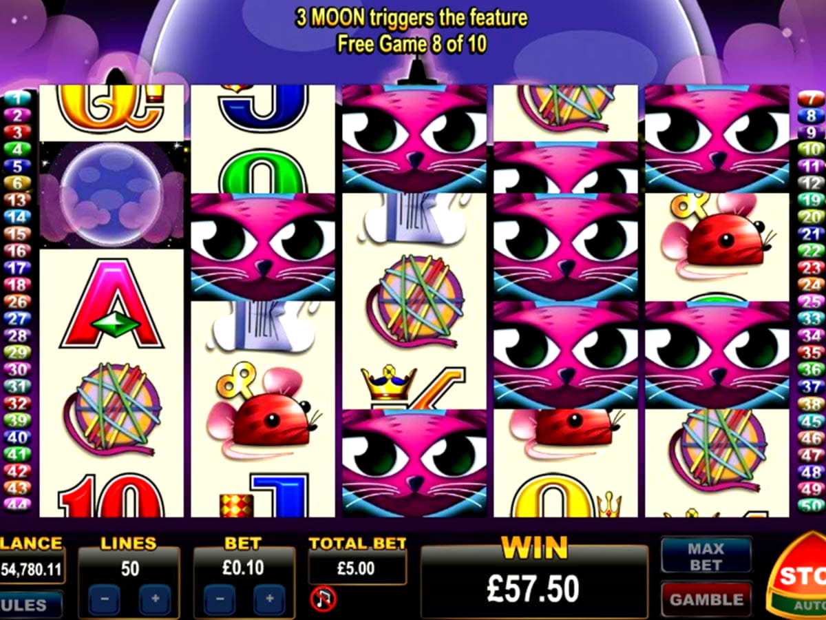 EURO 495 Free Casino Tournament at Jelly Bean Casino